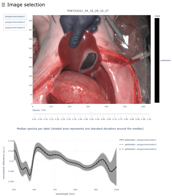 Interactive visualization for every image.